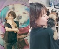  예지원, 정읍 산불 피해 구조견 입양…새 가족 생겨