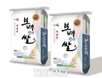  진도군 '보배진미쌀', 전남 10대 고품질 브랜드 쌀 선정