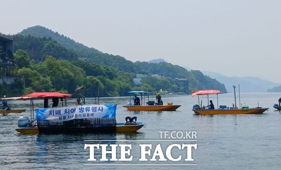 경기 가평군 공무원들과 어입인들이 지난달 북한강 일대에서 다슬기, 대농갱이 등의 치어를 방류하고 있다./가평군