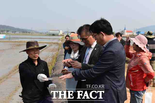 김기웅 서천군수가 벼 직파재배 기술 연시회에 참석해 농업인의 설명을 듣고 있다. /서천군