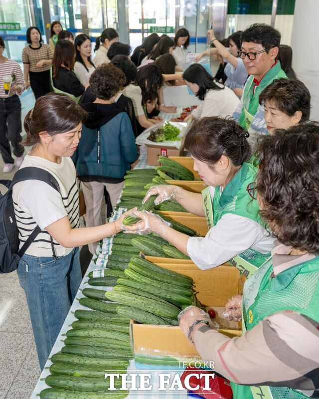 광주 서구가 채식 한끼 탄소중립 캠페인을 실시하며 서구청 1층에서 오이, 토마토 등 채소를 나눔하고 있다. /광주 서구