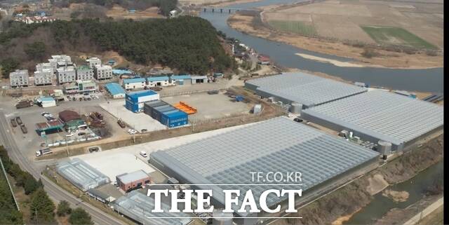 당진시 청년 창업농 임대형 스마트팜 전경. /당진시