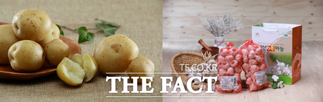 서산시 팔봉산 감자와 서산6쪽마늘. /서산시