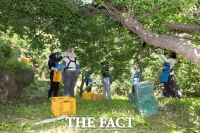  광양경자청, 농촌 일손 부족 해소 발 벗고 나서