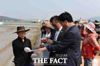  서천군, 벼 직파재배 기술 도입으로 노동력·경영비 절감