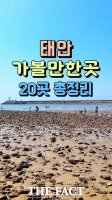  '2025 태안 방문의 해' 숏폼 공모전 성료…대상 등 26편 선정