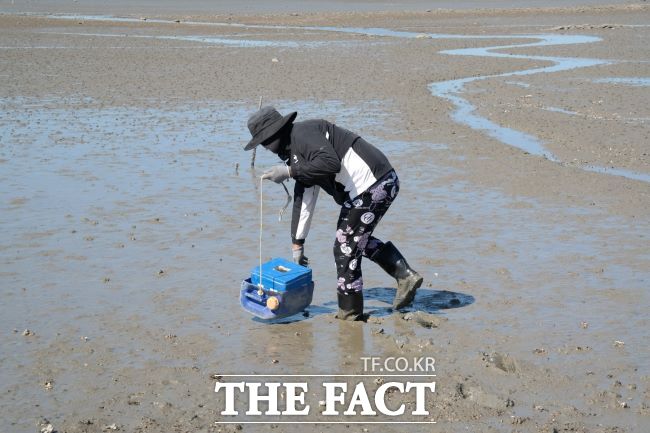 경기도가 귀어·귀촌 희망자에게 창업과 주택 구매 자금을 지원하고 농어민 기회소득도 확대하는 내용의 2025년 귀어·귀촌 지원 시행계획을 수립했다. /경기도