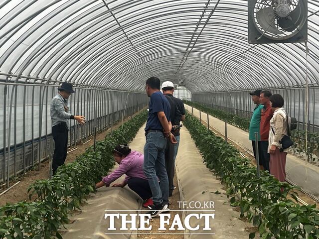 함평군이 농업인상담소를 운영하고 현장을 방문해 지도하고 있다./함평군
