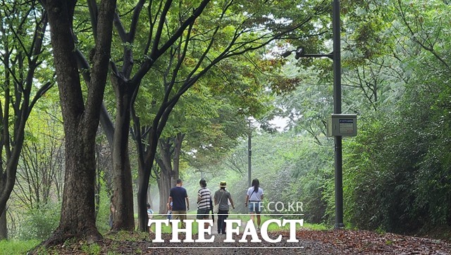 시민들이 미사경정공원 내 숲길을 산책하며 자연을 만끽하고 있다./국민체육진흥공단