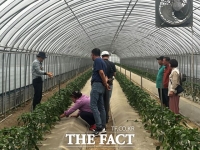  함평군, 현장 밀착형 영농 지원…'농업인상담소' 3곳 운영