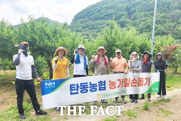 대전 탄동농협 임직원은 9일 임직원 10여 명이 공주시 반포면 일손이 부족한 조합원 복숭아 농가를 찾아가 영농철 구슬땀을 흘리며 일손을 도왔다. /농협대전지역본부