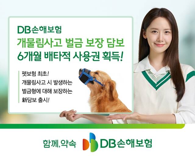 DB손해보험의 개물림사고 벌금 보장 담보가 손해보험협회 신상품심의위원회로부터 6개월 배타적 사용권을 획득했다. /DB손해보험