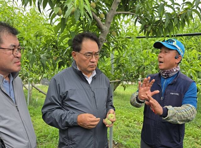 지준섭 농협중앙회 부회장(가운데)이 12일 경북 청도의 우박 피해 사과 농가를 찾아 농업인을 위로하며 현장 상황을 점검하고 있다. /농협중앙회