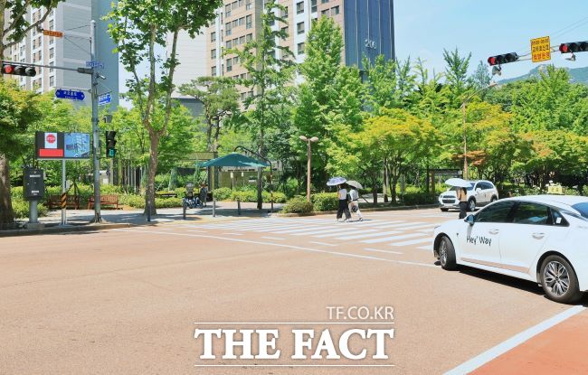 과천형 스마트 보행자안전시스템 작동 모습 /과천시