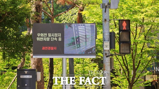 과천형 스마트 보행자안전시스템 설치 모습 /과천시