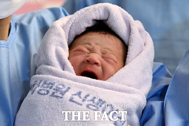 필수진료과인 내외산소(내과·외과·산부인과·소아청소년과)를 기피하는 이유 중 하나는 높은 업무 강도와 소송 위험에 비해 보상이 적어서다. 사진은 2025년 을사년 첫 아기인 니케(태명)가 1일 경기 고양 일산차병원에서 힘찬 울음을 터트리며 탄생을 알리는 모습. /일산=임영무 기자