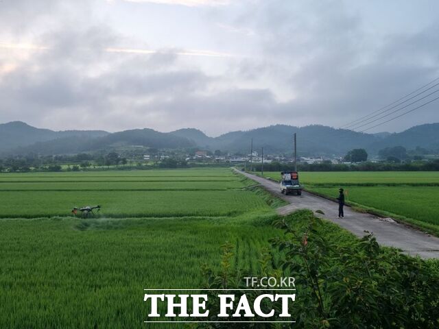 도암면 친환경재배지 방제현장./화순군