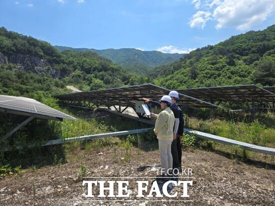 12일 이태선 경기도 산림녹지과장(왼쪽)이 관계자와 함께 경기 포천시 소재 한 산지 태양광발전 시설 허가지를 찾아 현장 점검을 하고 있다./경기도