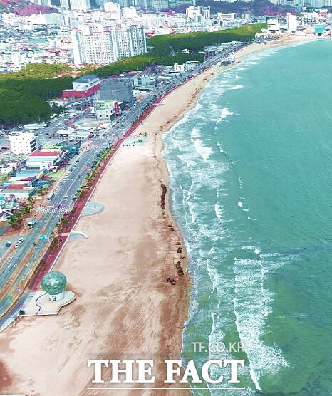 경북 포항 송도해수욕장이 18년 만에 개장한다. /포항시