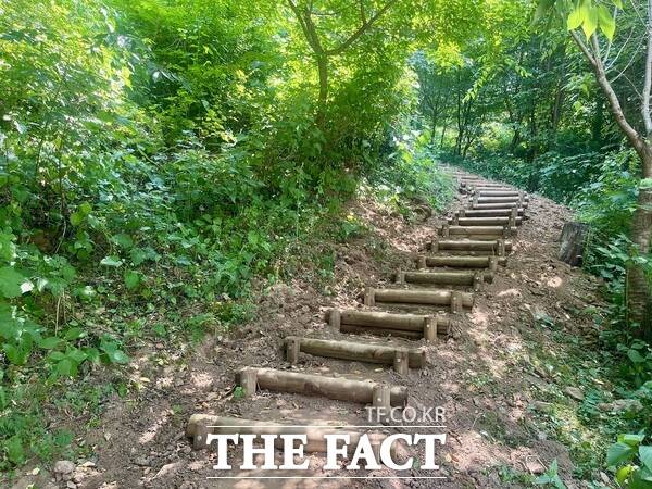 사정성 일원 진입로 정비공사 후 모습./대전시