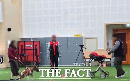 지난 14일 경기 시흥시에서 경기도 기질평가위원회 관계자들이 올해 첫 맹견사육허가제에 따른 ‘기질평가’를 실시하고 있다./경기도