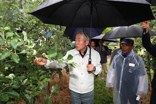 강호동 농협중앙회 회장이 16일 경북 청송, 김천의 우박 피해 농가를 찾아 피해 상황을 점검하고 있다. /농협중앙회