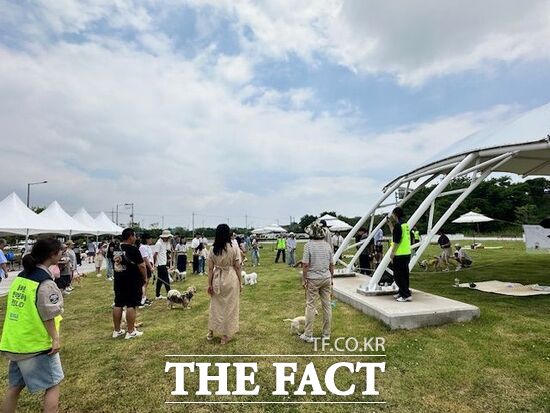 경기도가 지난 14일 경기도 서부권 반려동물테마파크인 ‘반려마루 화성’에서 진행한 ‘마루 피크닉’ 행사에 참여한 도민과 유기동물 입양가족 및 반려동물들이 즐거운 한 때를 보내고 있다./경기도