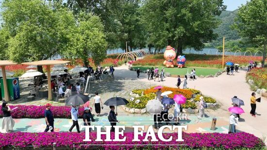 경기 가평군이 지난 5월 24일부터 6월 15일까지 자라섬 일원에서 진행한 ‘2025 자라섬 꽃 페스타(봄)’을 찾은 관람객들이 봄꽃 사이를 여유롭게 거닐고 있다./가평군