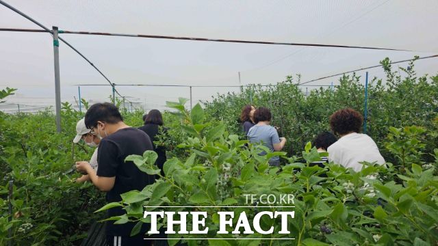 경기 고양시가 장애인가정 내 비장애 형제·자매를 위해 진행하는 오, 놀토데이!에 참가한 장애인과 비장애인 형제·자매들이 즐거운 한 떄를 보내고 있다./고양시