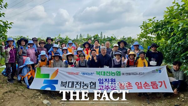 북대전농협은 17일 임직원과 고향주부모임 회원 40여 명이 유성구 전민동 포도 농가를 방문해 포도 봉지 씌우기 일손 돕기 봉사활동을 펼쳤다. /농협 대전지역본부