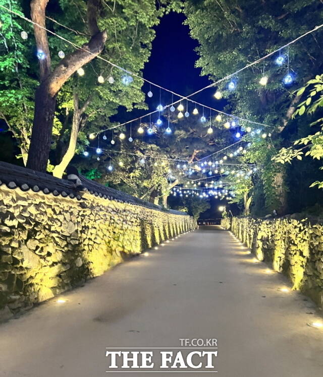 아산외암마을 6월 한 달간 야간에 개방한다. 사진은 지난 5월 열린 외암마을 야행 행사의 소나무숲길에 마련된 별빛조명 모습./아산시