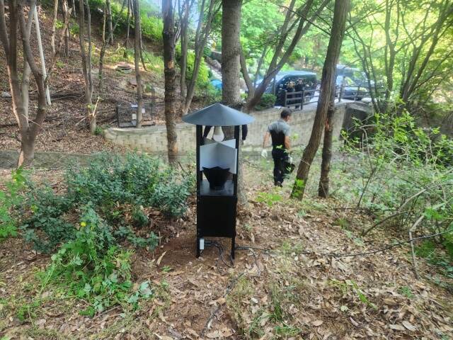 서울시가 생활불쾌곤충의 친환경적 방제를 적극 실천해 시민 불편 해소에 나섰다. /서울시