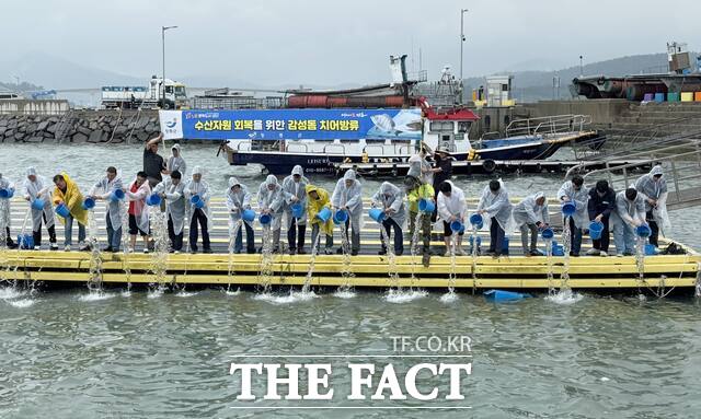 장흥군이 수산자원 회복을 위한 감성돔 치어방류 행사를 개최하고 있다. /장흥군