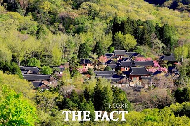 선암사 전경. /순천시