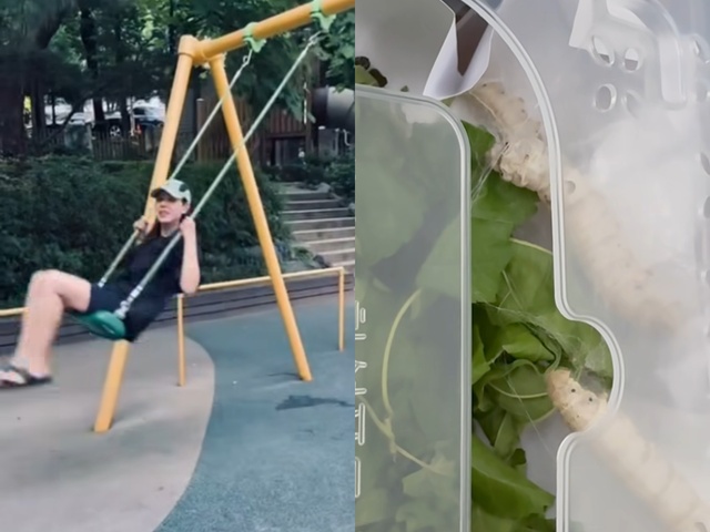 배우 손예진이 지난 17일 자신의 소셜 미디어 부계정을 통해 그네를 타는 영상(왼쪽)과 자신이 키우는 누에가 담긴 영상을 올렸다. /인스타그램 캡처