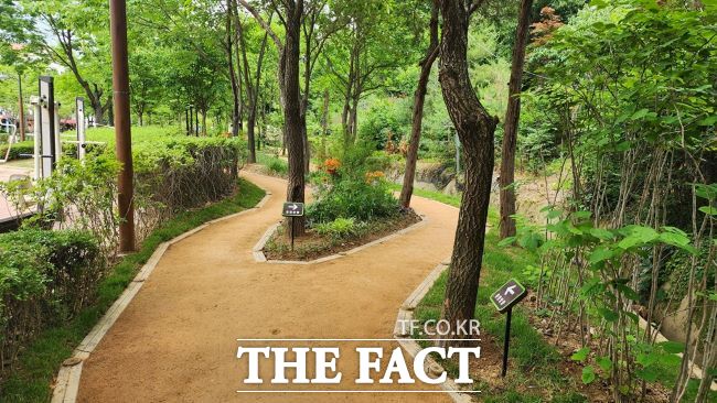 동편마을 맨발치유정원 전경./안양시