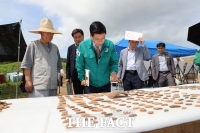  경남 고성서 신석기시대 빗살무늬토기 조각 1000여 점 출토