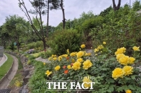  성동구, 도심·자연 만나는 '바람길숲' 조성…성수대교 북단