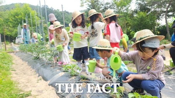 계룡시가 어린이들을 대상으로 도시농업 텃밭생태 프로그램을 운영하고 있는 모습./계룡시