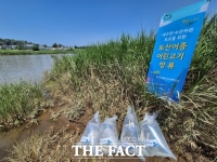  경기해양수산연구소, 쏘가리 1만 마리 10개 하천 방류