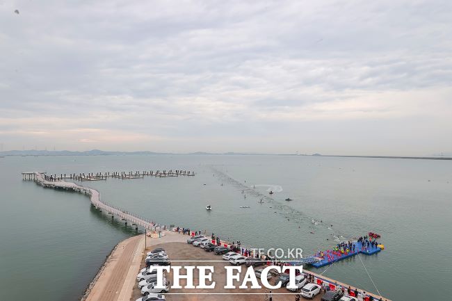 2024년 시화호 30주년 기념 시화호 거북섬에서 열린 철인3종대회 모습 /시흥시