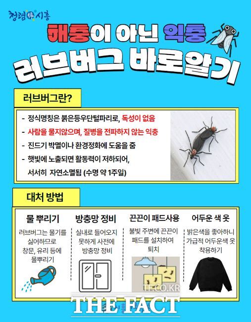 러브버그 바로 알기 안내문 /시흥시보건소