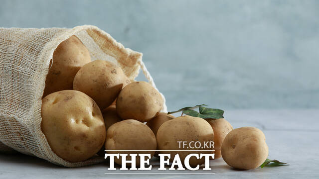 서산 감자. /서산시