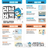  부천시, 러브버그 대량 출몰 대비 예방·대처 요령 안내