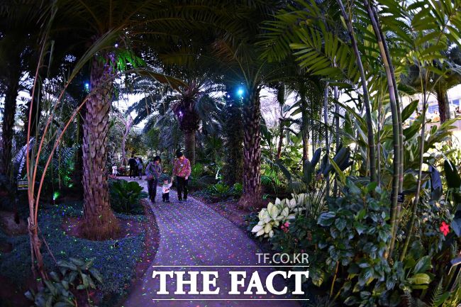 부천호수식물원 수피아에서 시민들이 야간 개장을 즐기고 있다./부천시