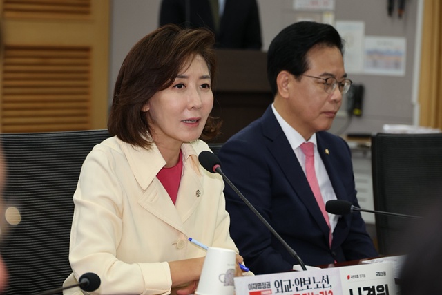 나경원 국민의힘 의원은 26일 국회에서 이재명 정권 외교·안보 노선, 어디로 가는가? 세미나를 열었다. 이 자리에선 이재명 정부의 실용외교가 미국을 자극할 수 있다는 지적이 나왔다. /나경원 의원 페이스북 갈무리