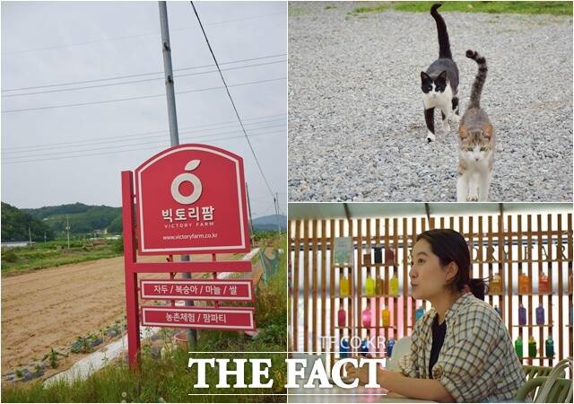 손 씨는 농산물 직거래를 위해 빅토리팜을 창업했다. 그의 일터에서는 고양이가 먼저 반겼다. /이철영 기자