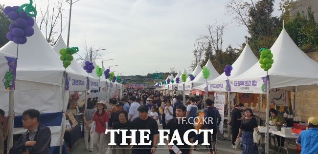 안성맞춤 포도축제 /안성시