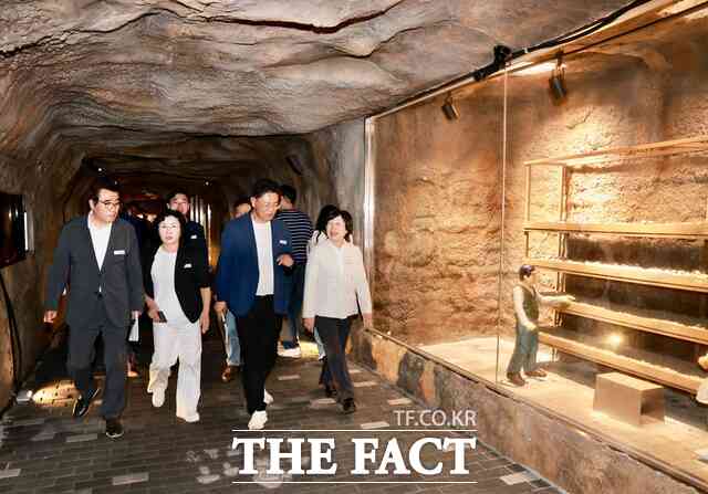 김동일 보령시장(맨 왼쪽), 최은순 보령시의회 의장(맨 오른쪽) 등 관계자들이 보령 냉풍욕장 개장식에 참해 냉풍욕을 체험하고 있다. /보령시