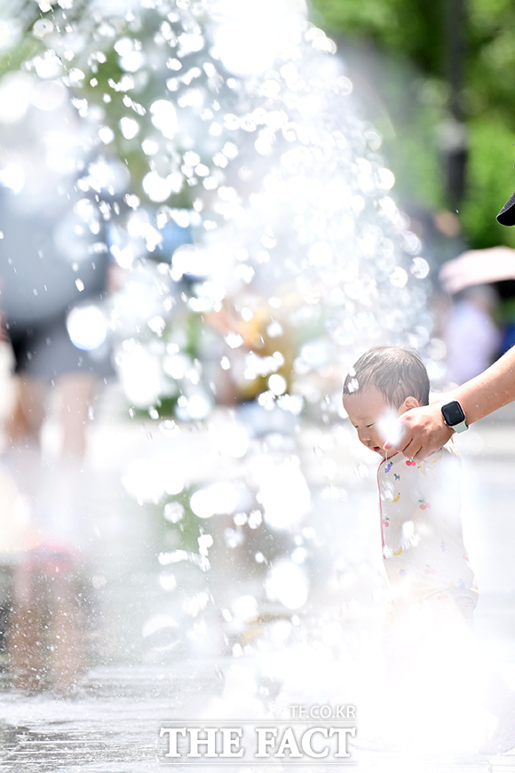 사진은 기사 내용과 무관./더팩DB